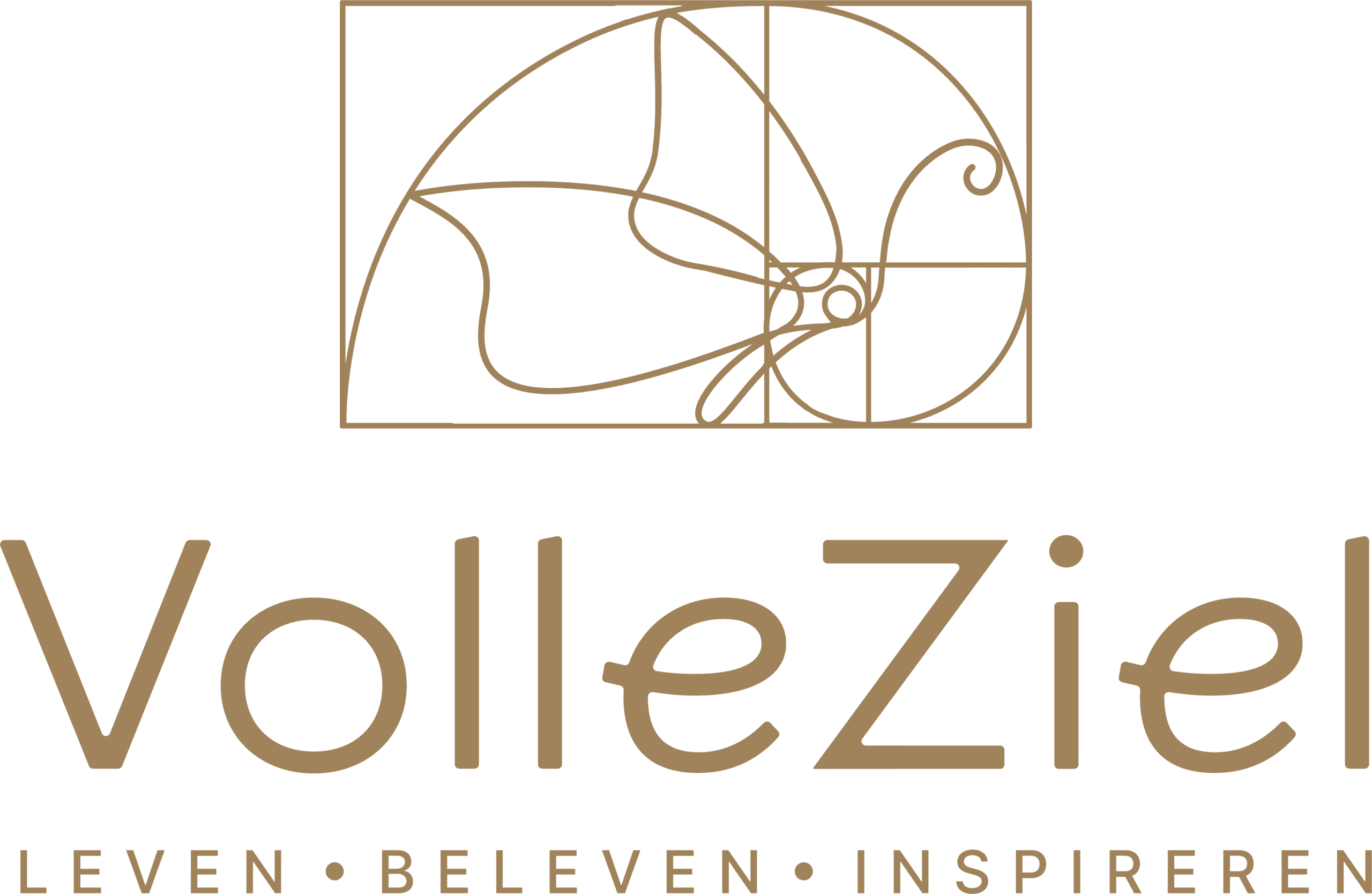VolleZiel FullLogo Golden TRANSPARENT scaled