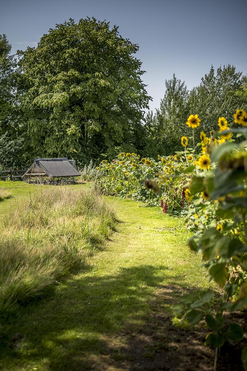 wei kamperen Volleziel pajottenland